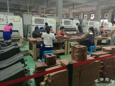 馬小龍赴廣東福美軟瓷等企業考察，推動產業合作與創新發展